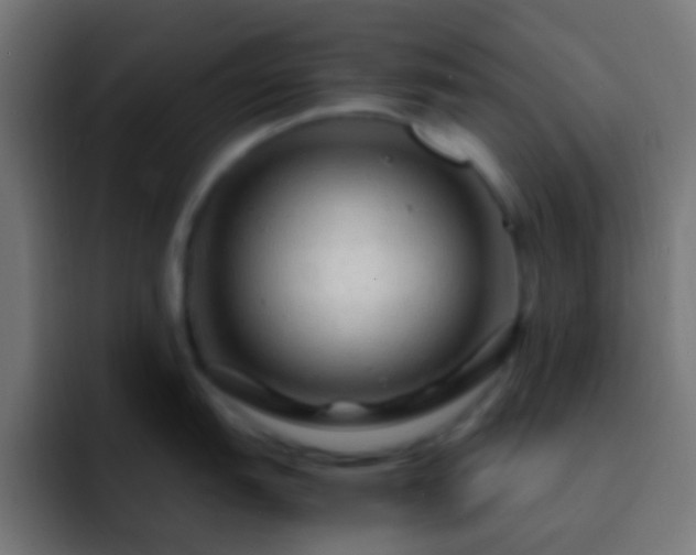 X0000093161151200710031441