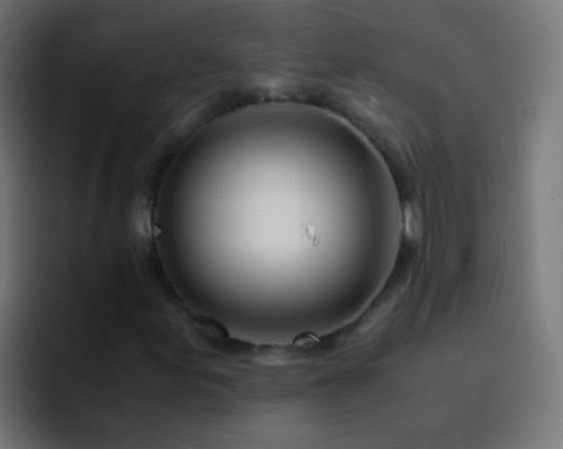X0000093161155200710031440