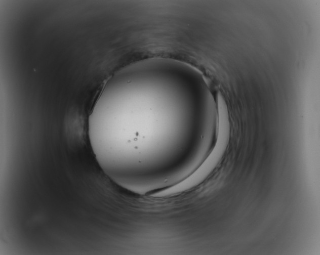 X0000093161156200710031440