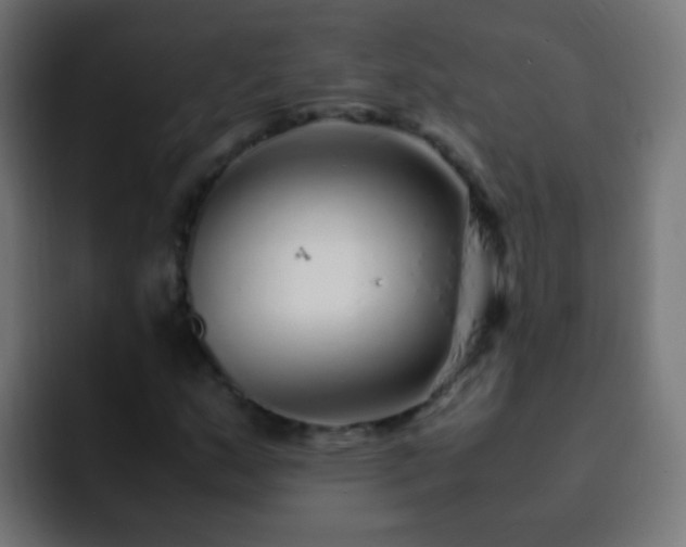 X0000093161159200710031440