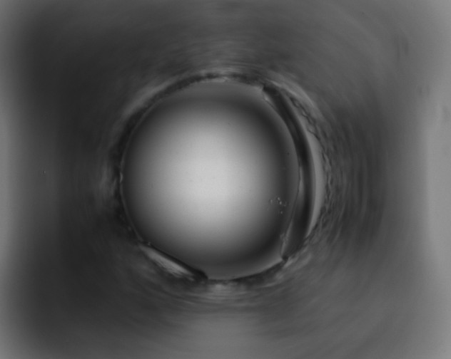 X0000093161160200710031440