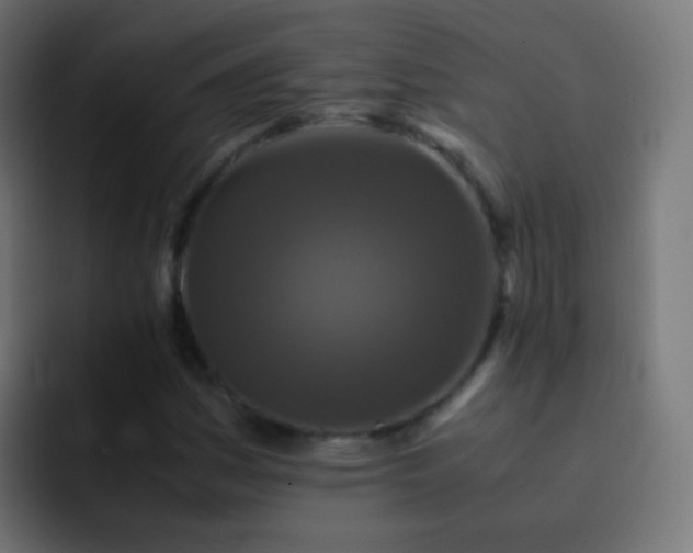 X0000093161161200710031440