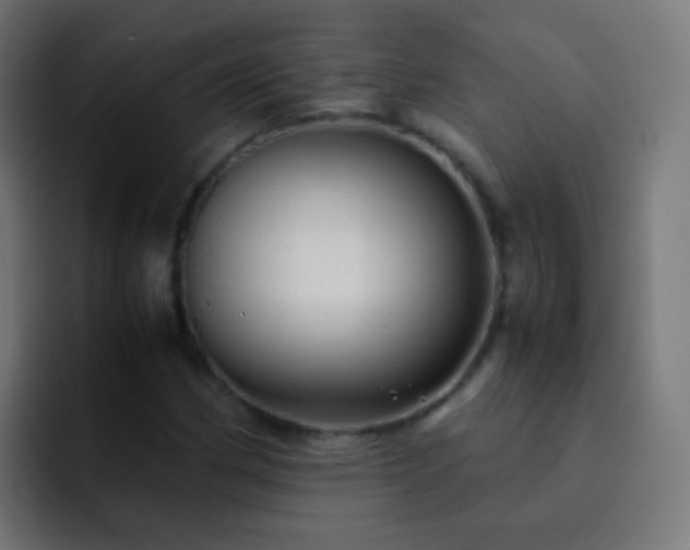 X0000093161162200710031440