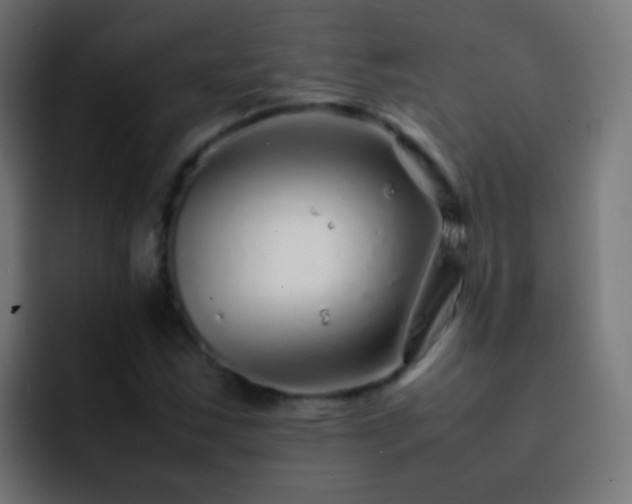 X0000093161163200710031440
