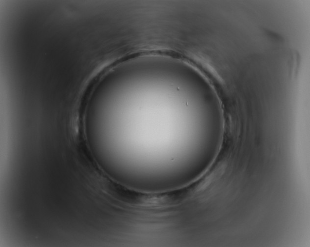 X0000093161165200710031440