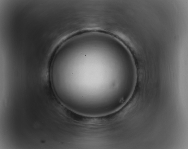 X0000093161167200710031440