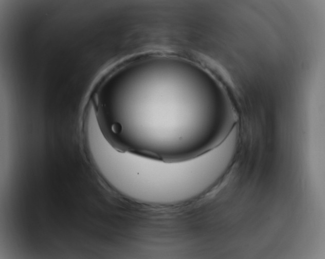 X0000093161168200710031440