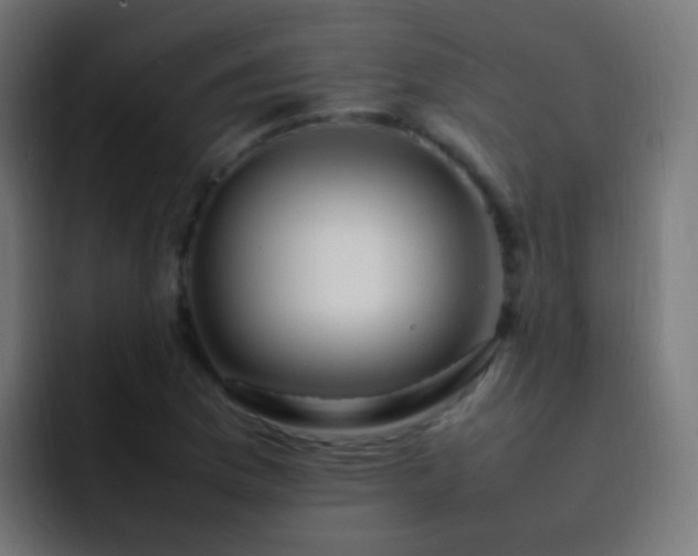 X0000093161169200710031440