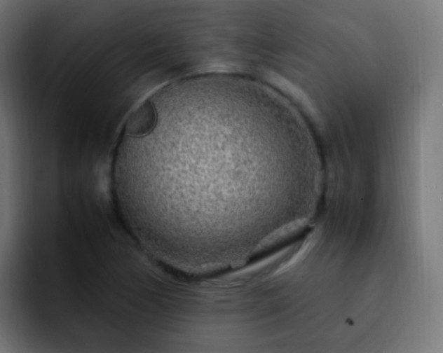 X0000093161170200710031440