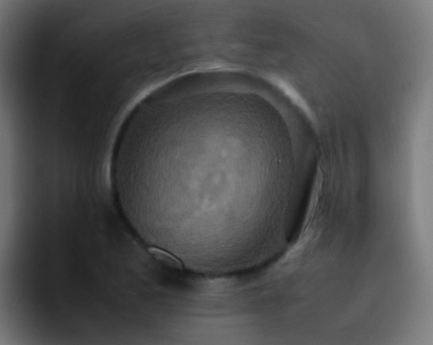 X0000093161173200710031440