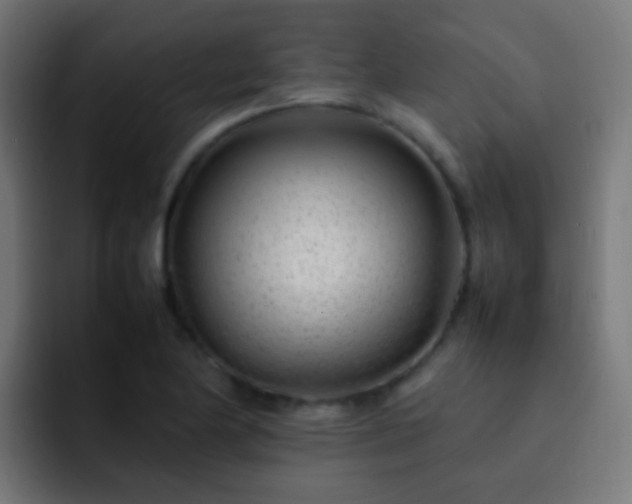 X0000093161174200710031440