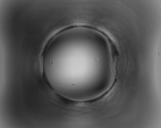 X0000093161175200710031440