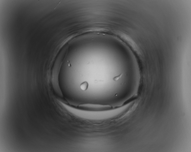 X0000093161177200710031440