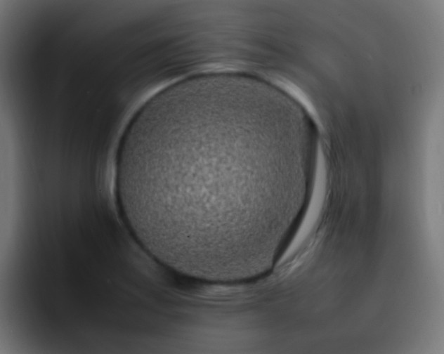 X0000093161179200710031440