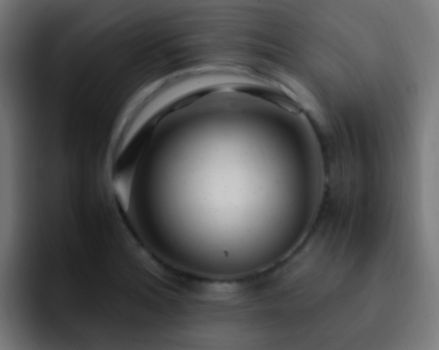 X0000093161180200710031440