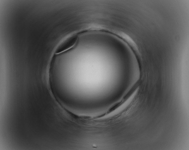 X0000093161183200710031440