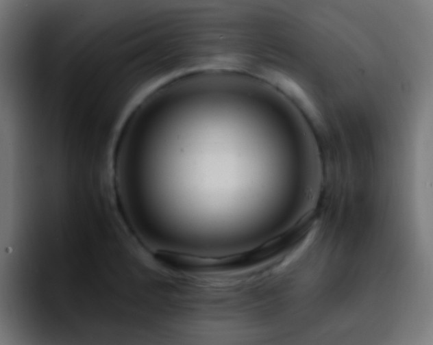 X0000093161184200710031440