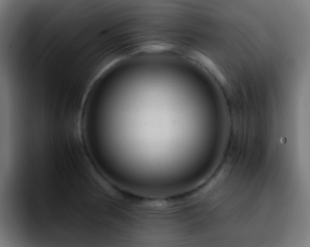 X0000093161186200710031440