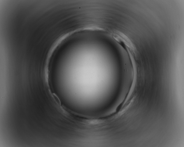 X0000093161188200710031440