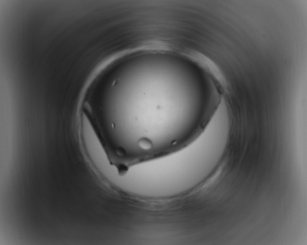 X0000093161192200710031440