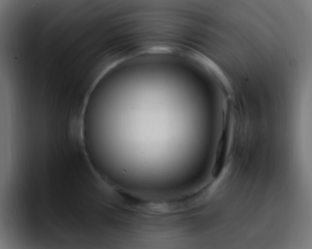 X0000093161194200710031440