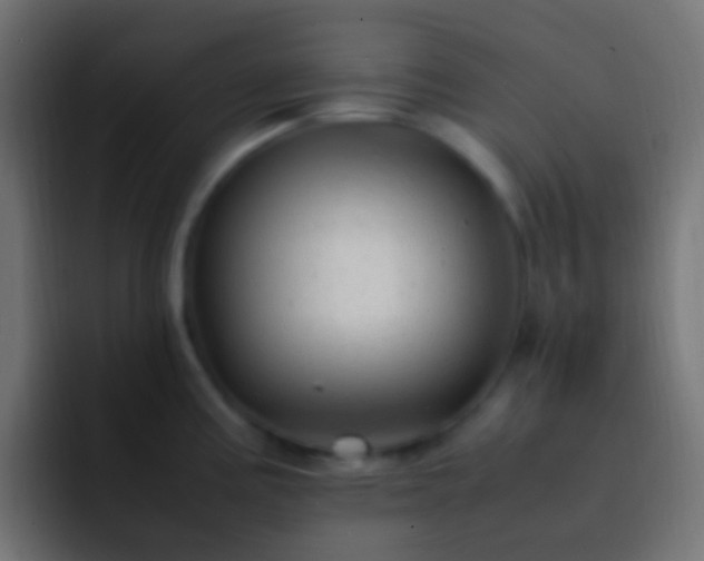 X0000093161195200710031440