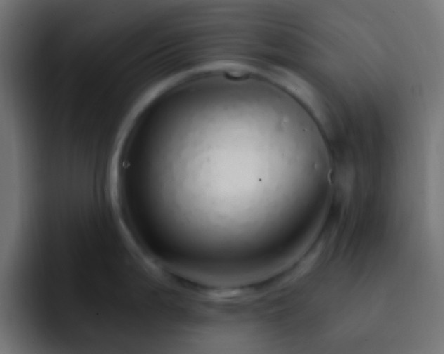 X0000093161199200710031440