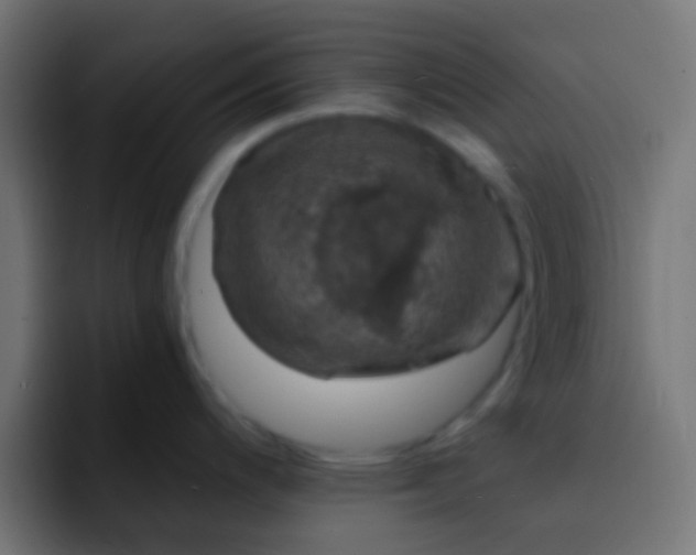 X0000093161200200710031440