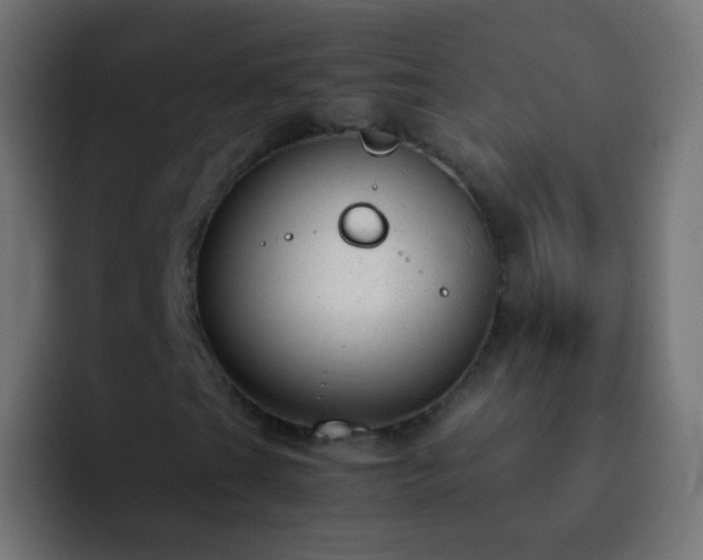 X0000093161201200710031439