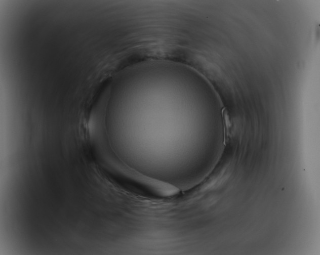 X0000093161202200710031439