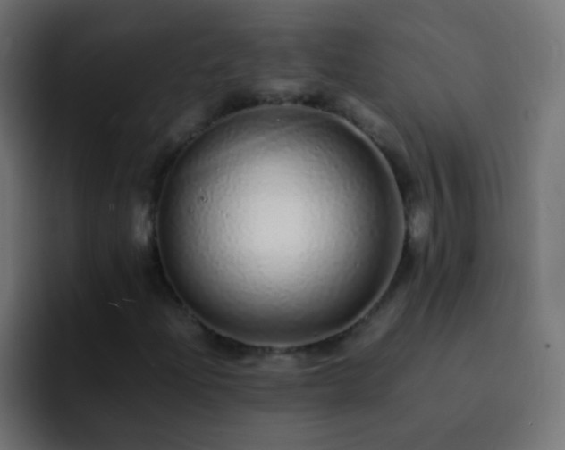 X0000093161204200710031439