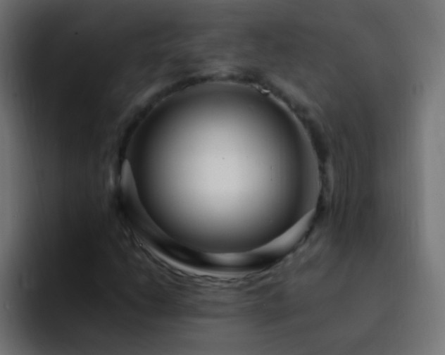 X0000093161206200710031439