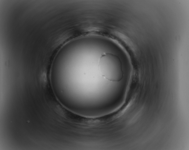 X0000093161209200710031439