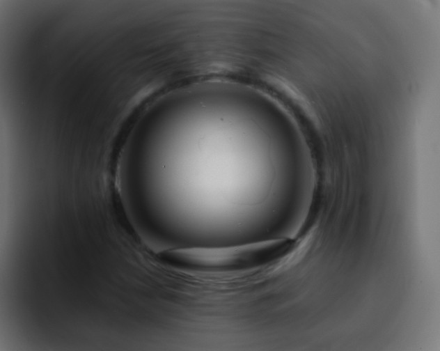 X0000093161210200710031440