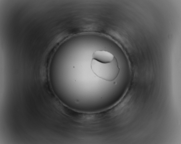 X0000093161211200710031440