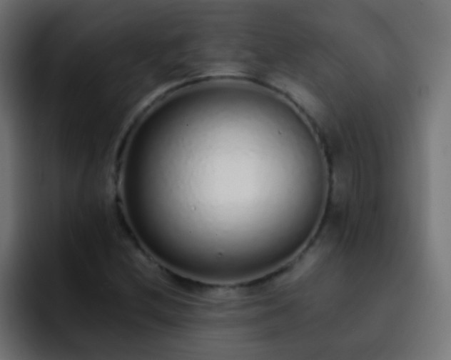 X0000093161212200710031440