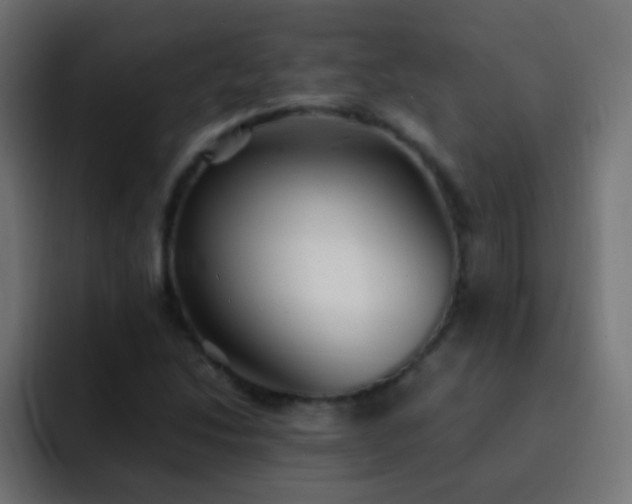 X0000093161214200710031440
