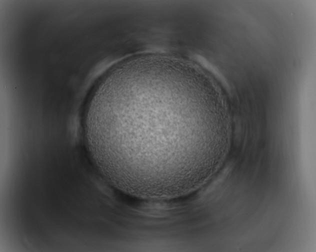 X0000093161215200710031440