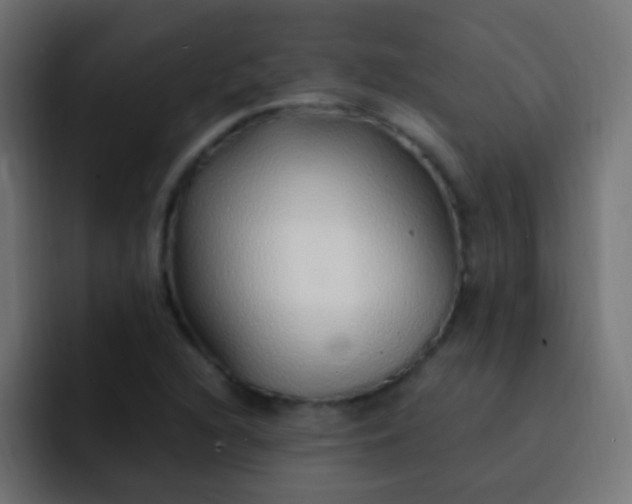 X0000093161216200710031440
