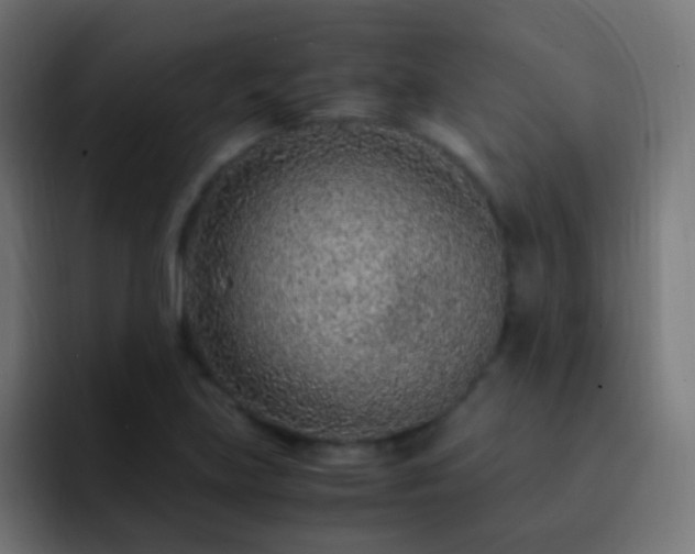 X0000093161219200710031440