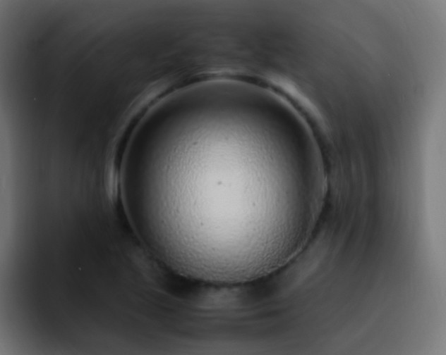 X0000093161221200710031440