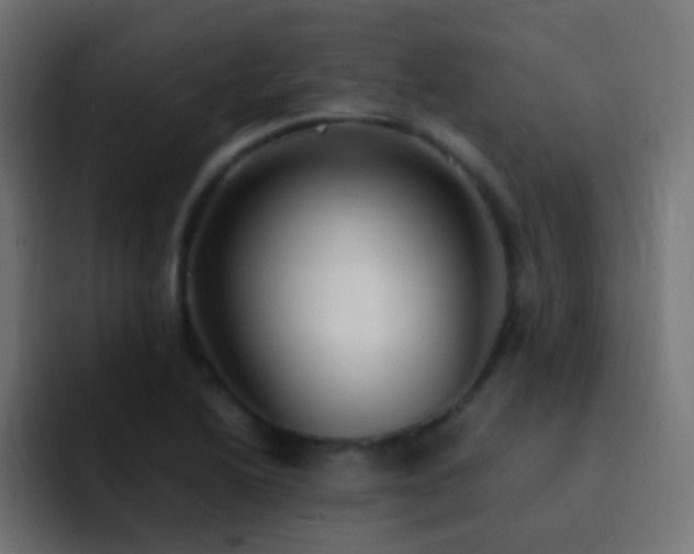 X0000093161222200710031440