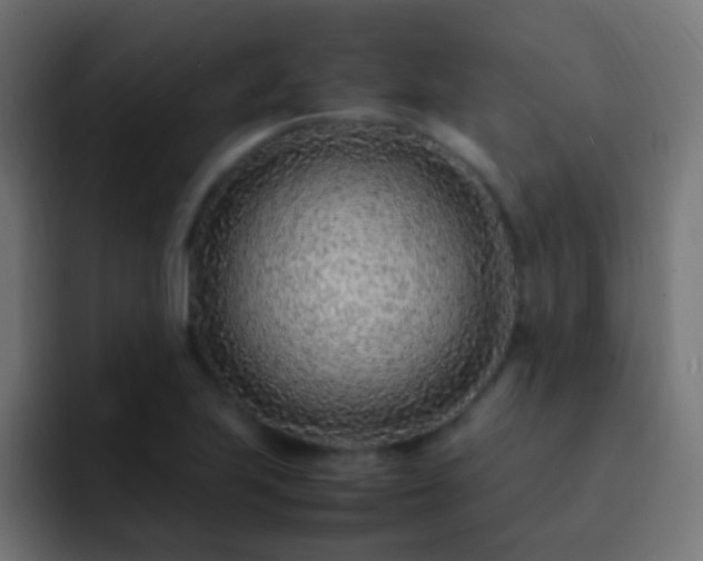 X0000093161223200710031440