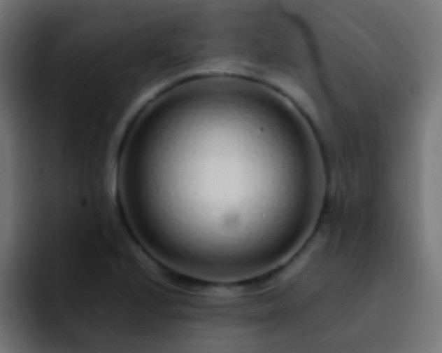 X0000093161224200710031440