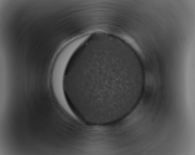 X0000093161226200710031440