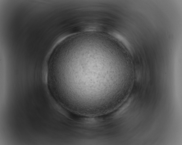 X0000093161227200710031440