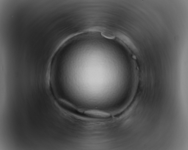 X0000093161228200710031440