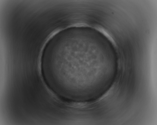 X0000093161229200710031440