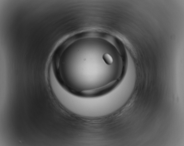 X0000093161230200710031440