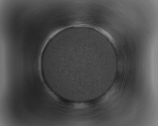 X0000093161231200710031440